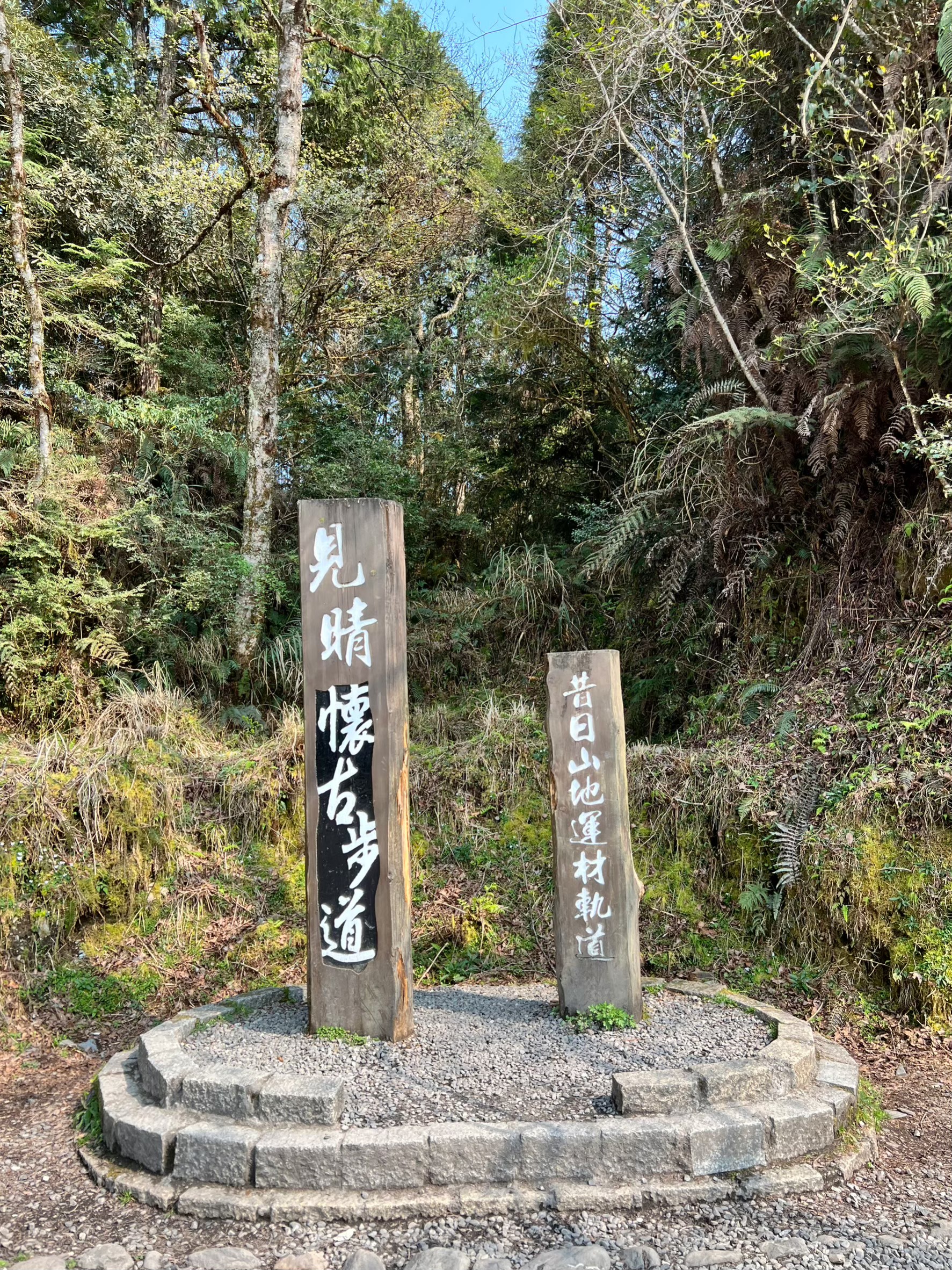 太平山｜見晴古道，輕鬆的親子步道